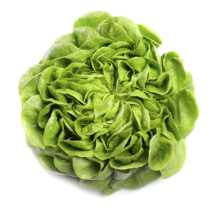 Green Salanova Lettuce