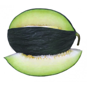Melão Tendral