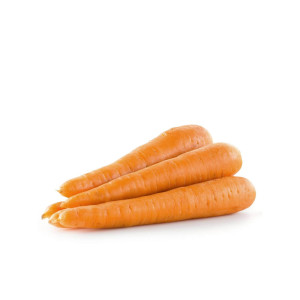 Carrot