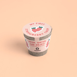 1° Kit de Jardinería - Fresas