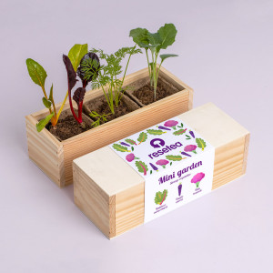 Mini Jardín - Verduras...