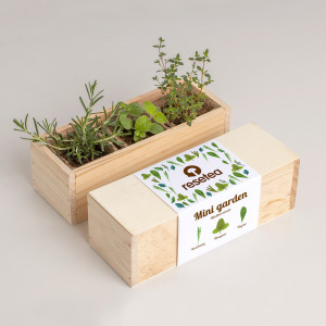 Mini Garden - Mediterranean
