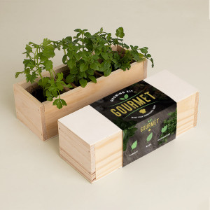 Kit Cultivo - Gourmet
