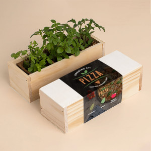 Kit de cultivo - Pizza