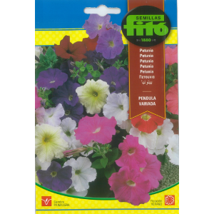 Petunia Seeds