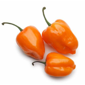 Habanero Orange