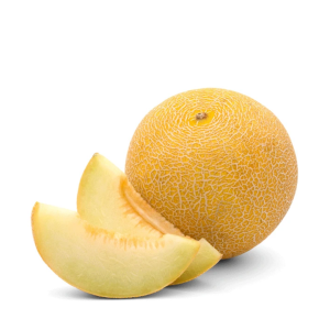 Melón Galia Injertado