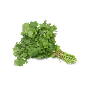 Coriander