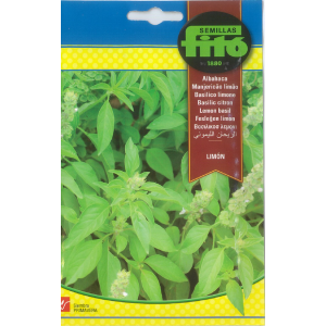Semillas de Albahaca Limón
