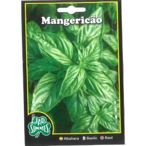 Basil Seeds