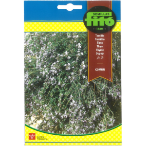Thyme Seeds