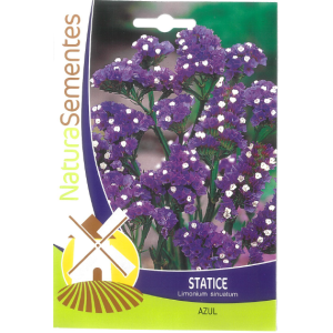 Sementes de Statice (azul)