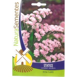 Statice Seeds