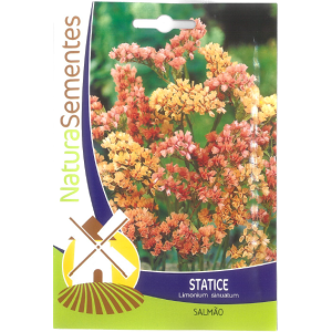 Statice Seeds
