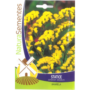 Statice Seeds