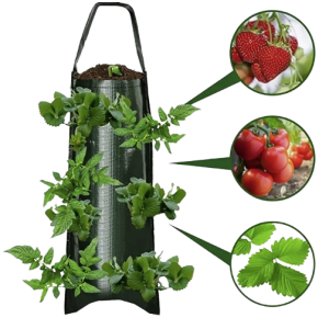 Grow Bag