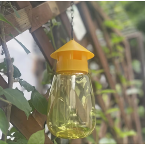 Insect Trap