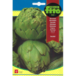 Semillas de Alcachofa Talpiot