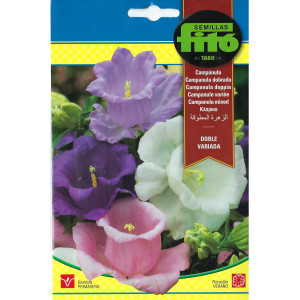 Semillas de Campanilla...