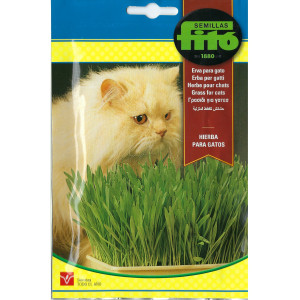 Catnip Seeds
