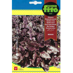 🌿 Sementes de Manjericão Roxo