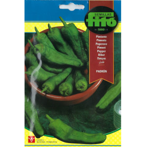Semillas de Pimiento de Padrón