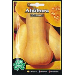 Sementes de Abóbora Butternut