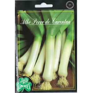 Leek Seeds