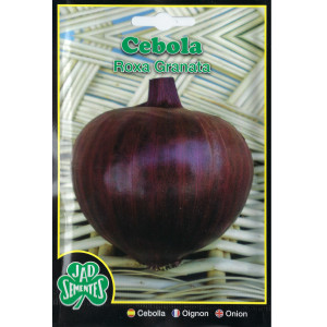 Semillas de Cebolla Morada