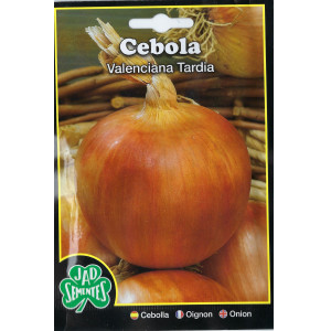 Valencian Onion Seeds