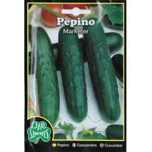 Marketer Cucumber Seeds
