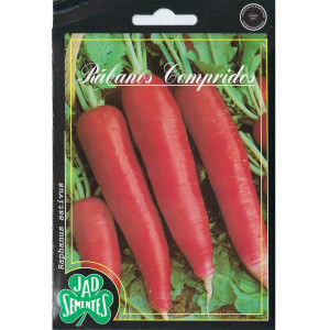 🌶️ Long Radish Seeds