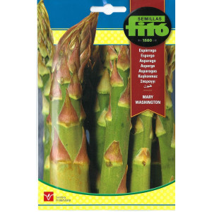Sementes de Espargo