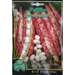 🫘 Ettore Low Bean Seeds
