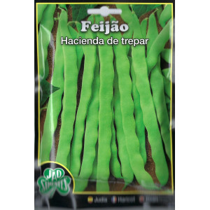 🫘 Hacienda Climbing Bean Seeds