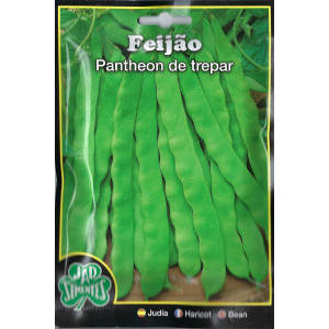 🫘 Pantheon Climbing Bean Seeds