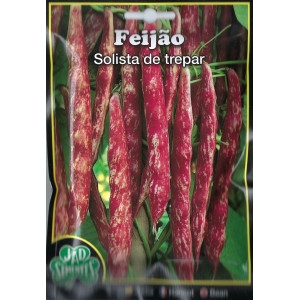 Sementes de Feijão Solista...