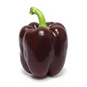 Pimiento Chocolate