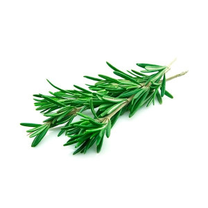 Rosemary