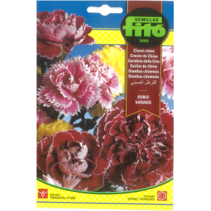 Double Variegated Marigold...