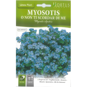 Sementes de Miosótis –...