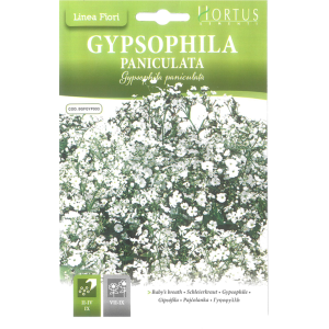 Sementes de Gipsofila...