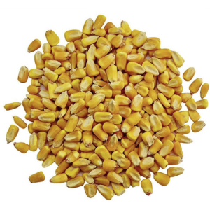 Corn