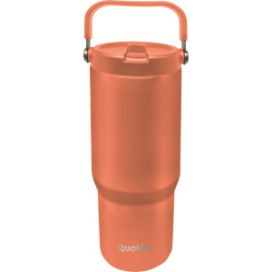 Thermal Bottle with Handle...