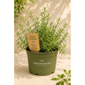 Ribeira Mint VASE
