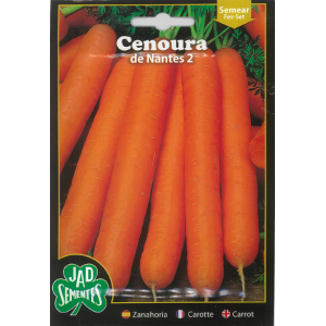 Carrot Seeds