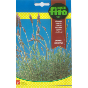 Semillas de Lavanda