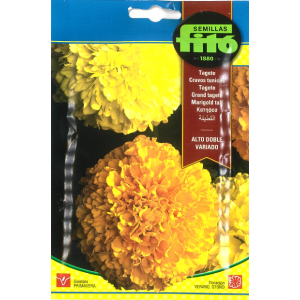 Sementes de Cravo Túnico