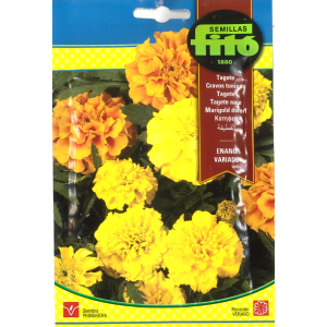 Marigold Tall Seeds