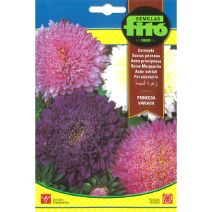 Aster Ostrich Seeds